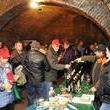 Wine Cellars Day in Trnava